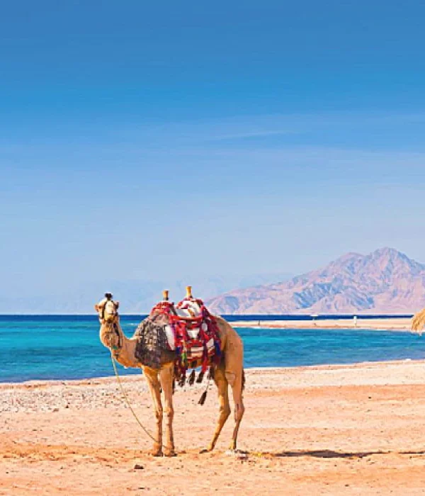 Marsa Alam – Egypt Tours-webp – Copy